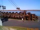 Thumbs/tn_TL Radis 07 LPIC0115.jpg